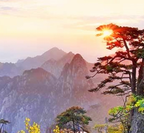 上海粉象生活下载