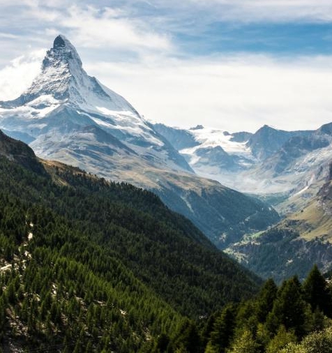 粉象生活和斑马会员