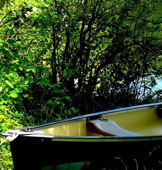 不是vip粉象可以提现吗