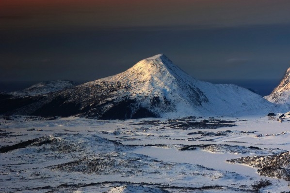粉象生活如何推广