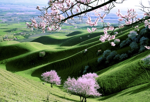 如何利用粉象生活挣钱