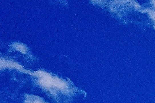 枣庄粉象生活收入