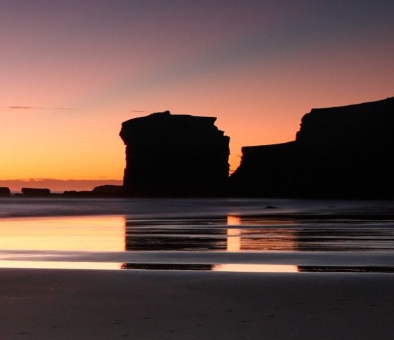 粉象生活怎么赚钱