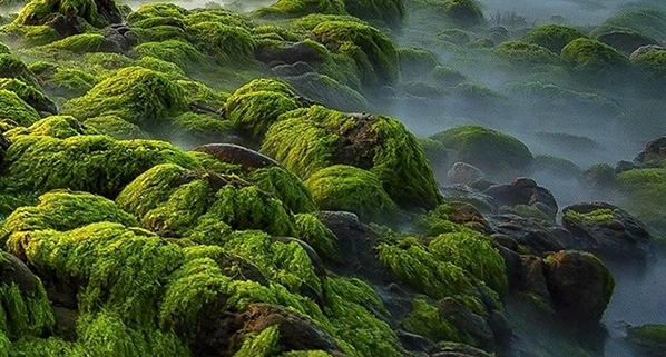 粉象生活粉丝怎么增加