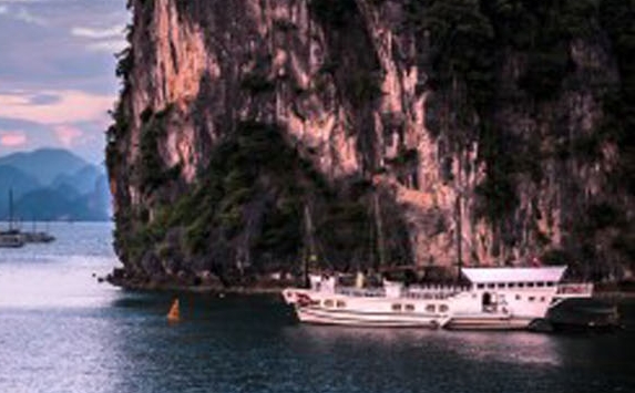 粉象生活邀请码