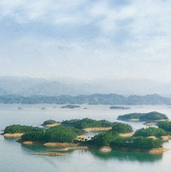 粉象生活粉丝怎么增加