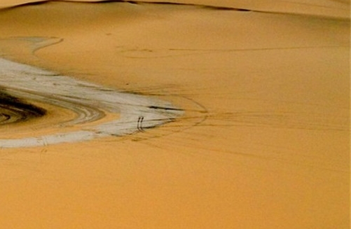 粉象生活怎么赚钱