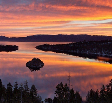 粉象生活下载app