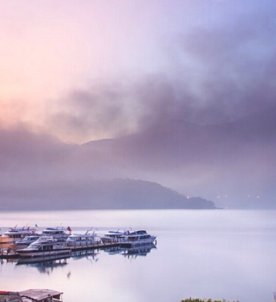 粉象生活是做什么的