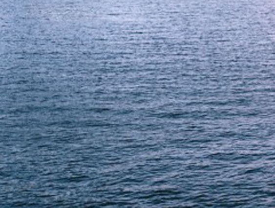 怎么入住百度惠生活