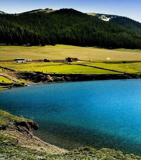 生活导购是什么意思