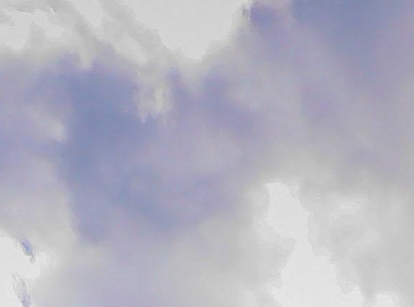 粉象生活能赚到钱吗