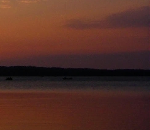 粉象生活下载app