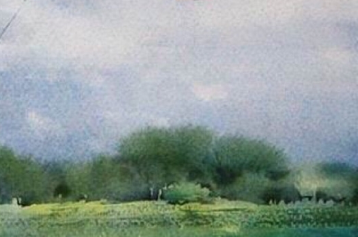 粉象生活邀请码