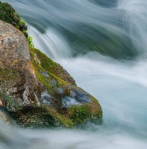 粉象生活怎么做任务