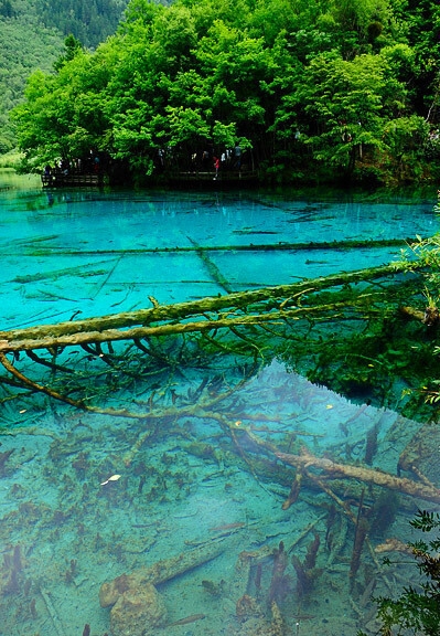 粉象生活不是vip可以得佣金吗