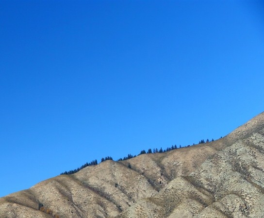 粉象生活下载app