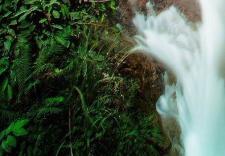 粉象生活会骗人吗