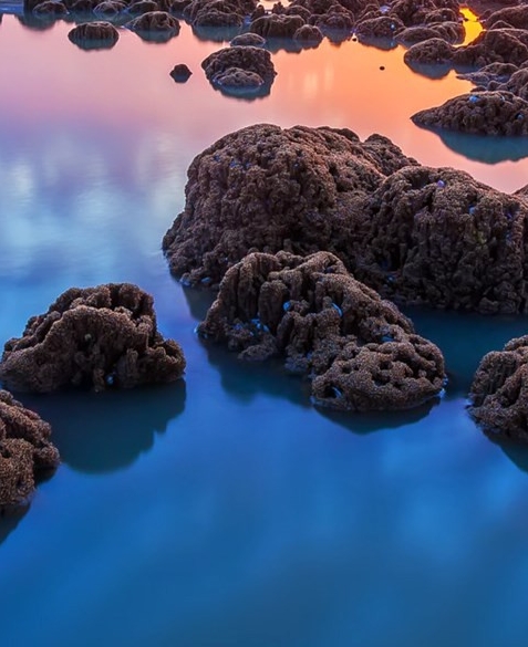 辽宁粉象生活怎么赚钱