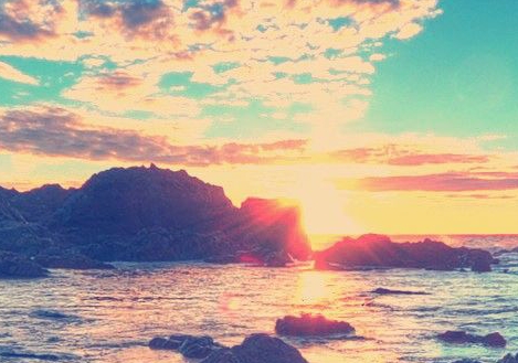 粉象生活推广文章