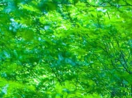 粉象生活营销策略分析