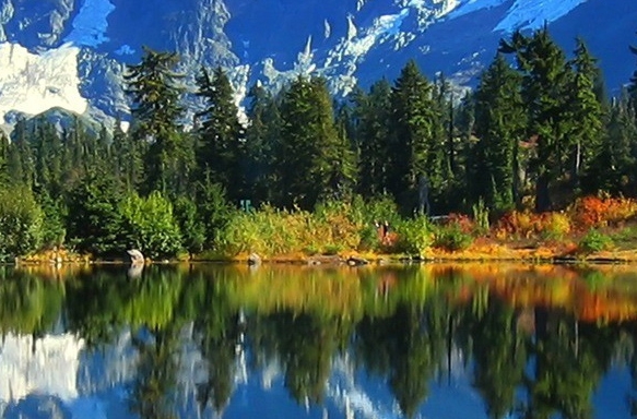 粉象生活能赚到钱吗