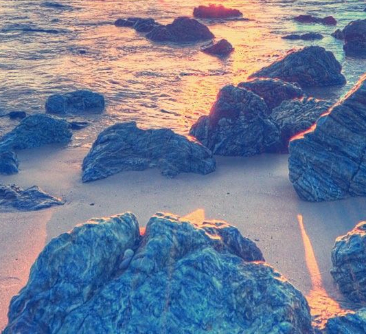 粉象生活怎么看上级邀请码