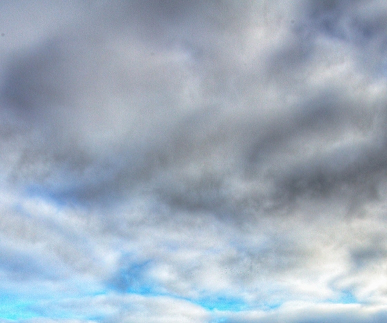 粉象生活是什么