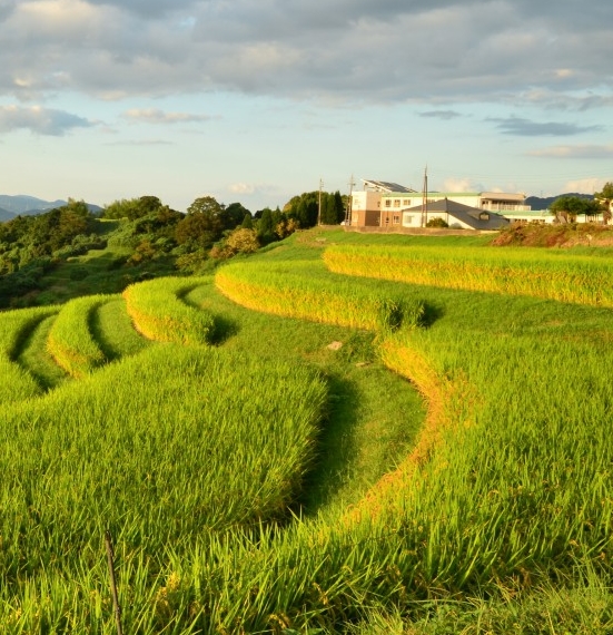 惠州粉象生活合伙人