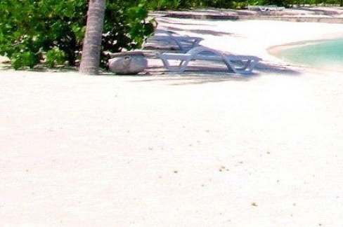 粉象生活抢东西软件