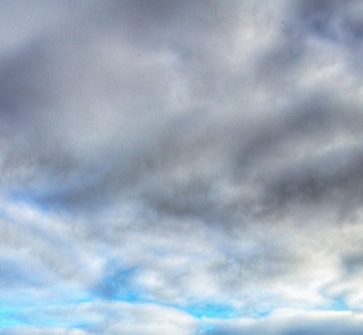 珠海粉象生活收费