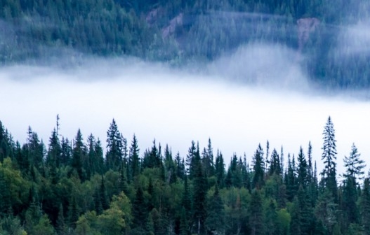 粉象生活邀请码