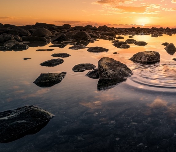 粉象生活怎么做任务