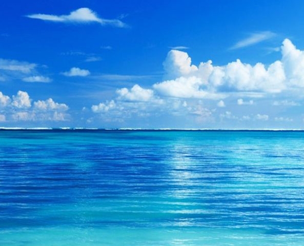 粉象生活赚佣金