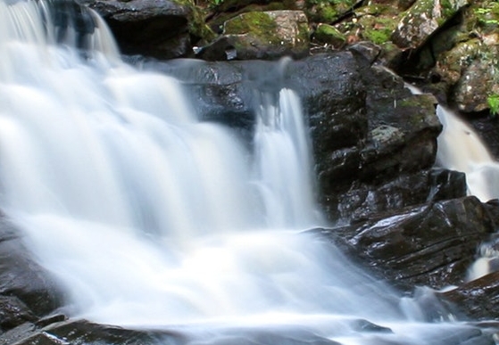 杭州app粉象生活邀请码