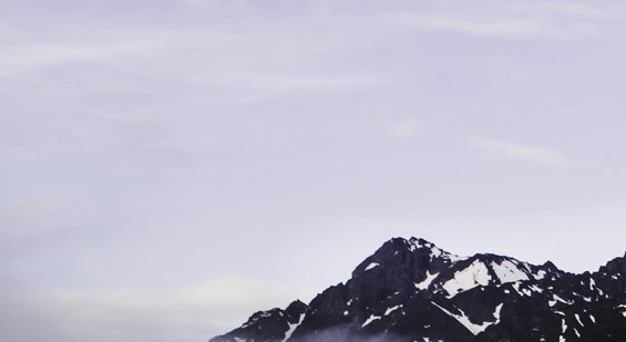 怎么解除粉象生活