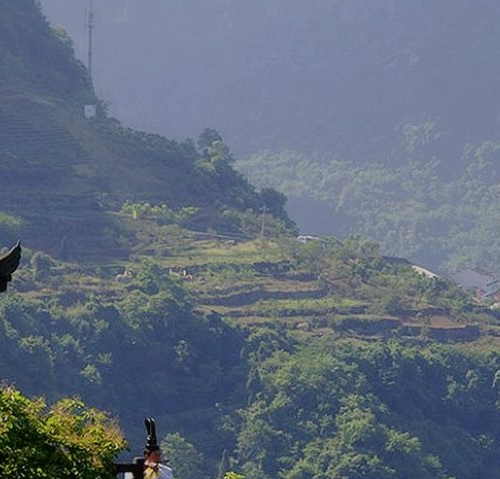 社交电商粉象生活能赚钱吗