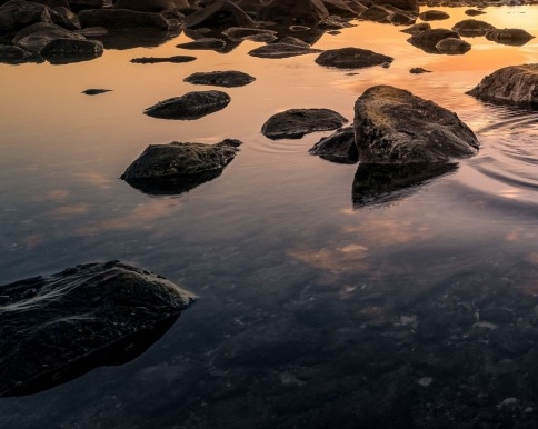 粉象生活营销app