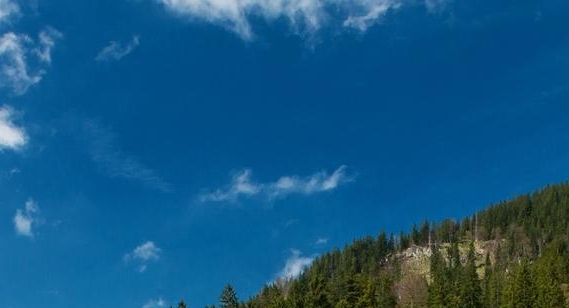 粉象生活提现要手续费吗