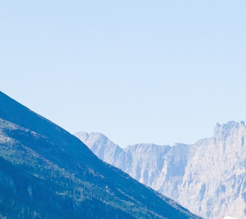 粉象生活365会员费