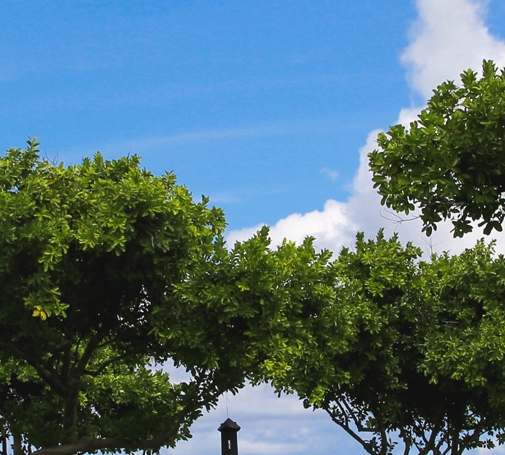 赣州最好吃的粉