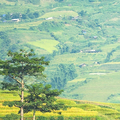 粉象生活粉丝怎么增加