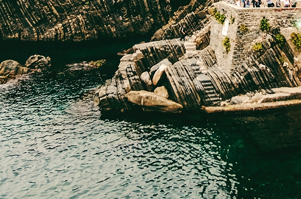 粉象生活vip怎么下载