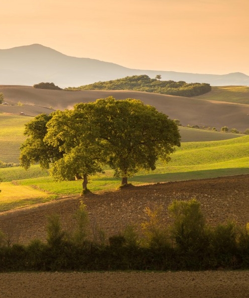 粉象生活开通后能赚钱吗