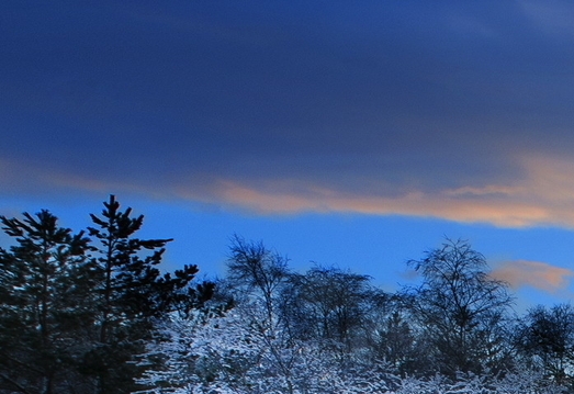 粉象生活京东怎么使用