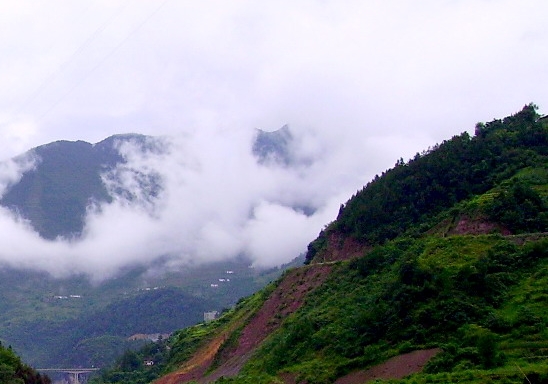 粉象生活能赚到钱吗