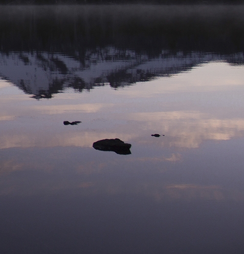 粉象生活真实收入