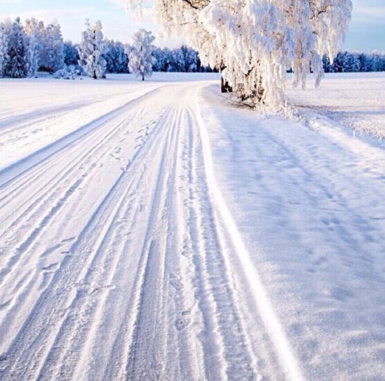 粉象生活邀请码