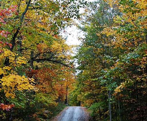 惠州粉象生活合伙人