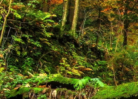 广东粉象生活合伙人